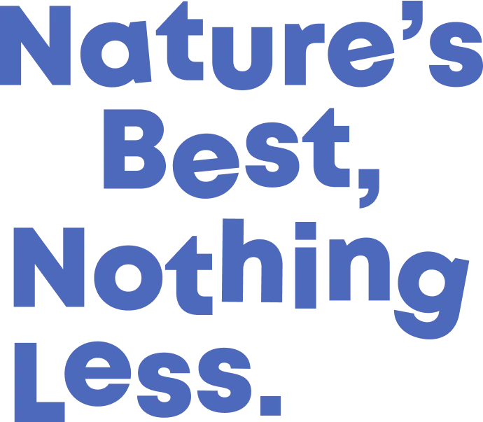 Key ingredients section headline